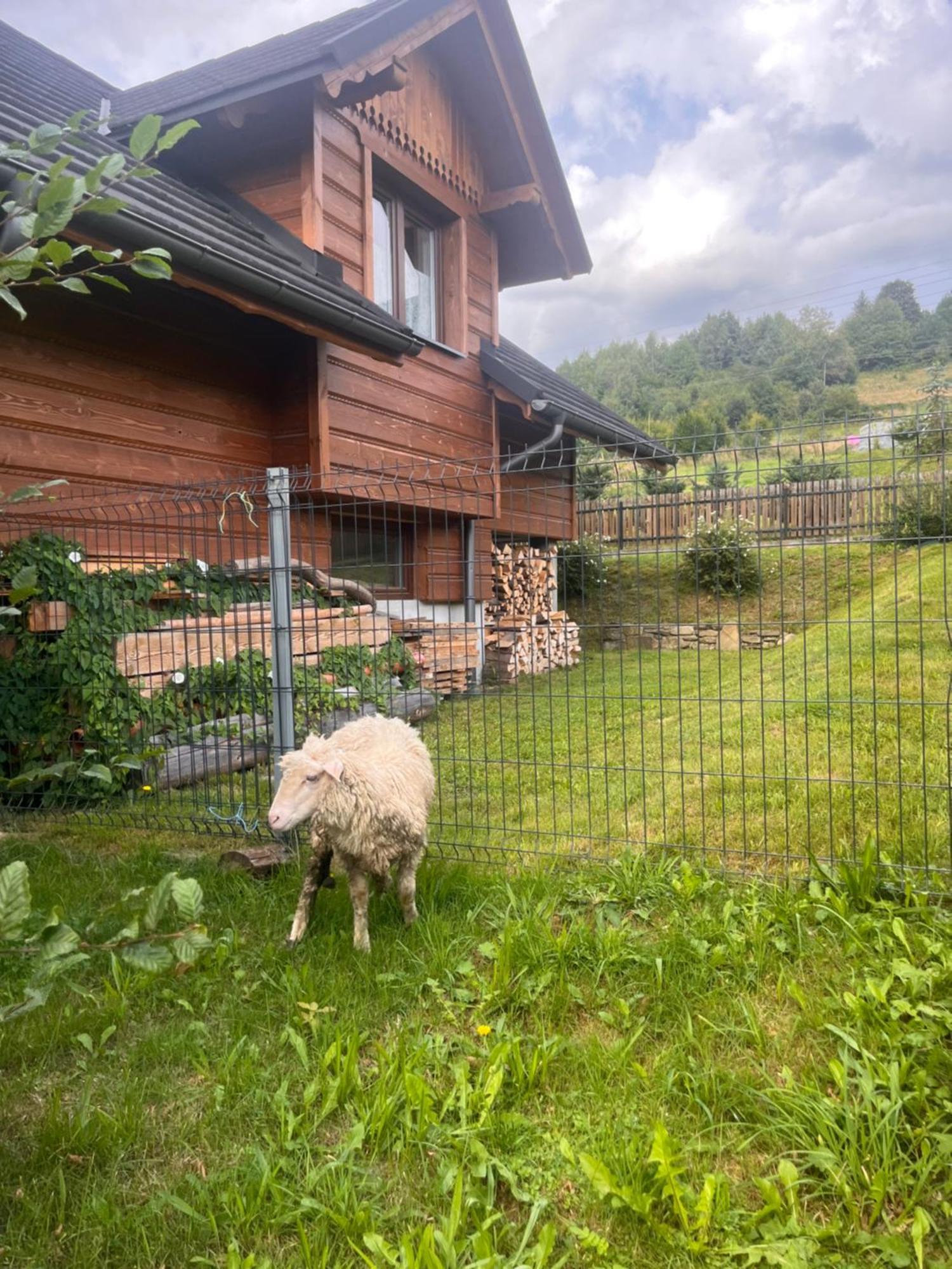 Domek Na Smigowskim Piwniczna-Zdroj Exteriör bild